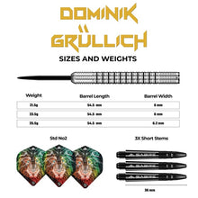 Laden Sie das Bild in den Galerie-Viewer, Mission Dominik Grüllich Steeldarts
