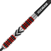 Laden Sie das Bild in den Galerie-Viewer, Red Dragon Gerwyn Price Firebird Steeldarts