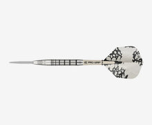 Laden Sie das Bild in den Galerie-Viewer, Target Exo 02 Steeldarts
