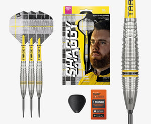 Target Scott Williams G2 Steeldarts